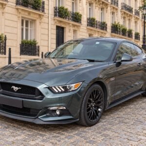 Ford Mustang GT 5.0 V8 2016